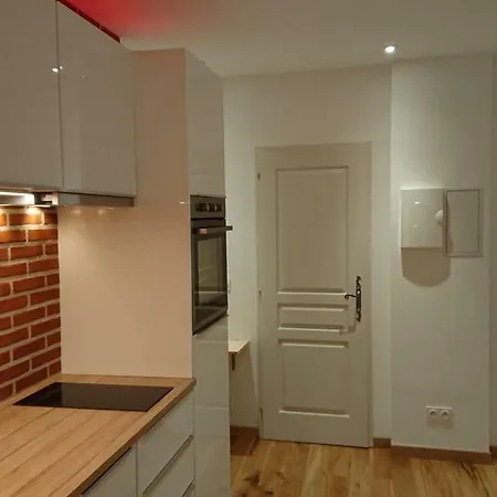 Apartamento T1 Proche Gare Et Centre Ville Toulouse